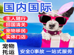 恩施许家坪空运公司国际宠物托运 【国
